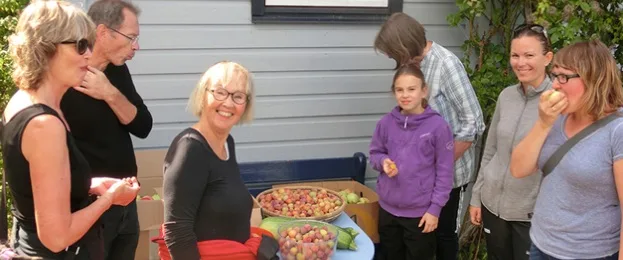 Sju kolonister samlet rundt to srore kurver med plommer.